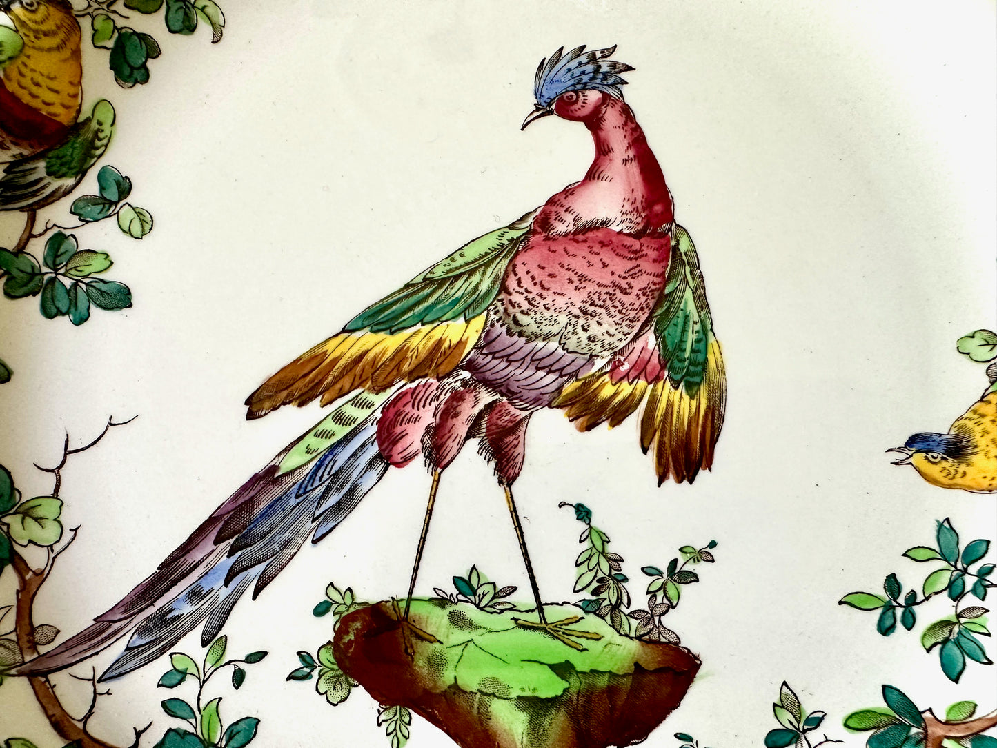 Set of 6 Spode Copeland's Chelsea Bird Vintage Dinner Plates I Made in England Dinner Plate Set - DharBazaar