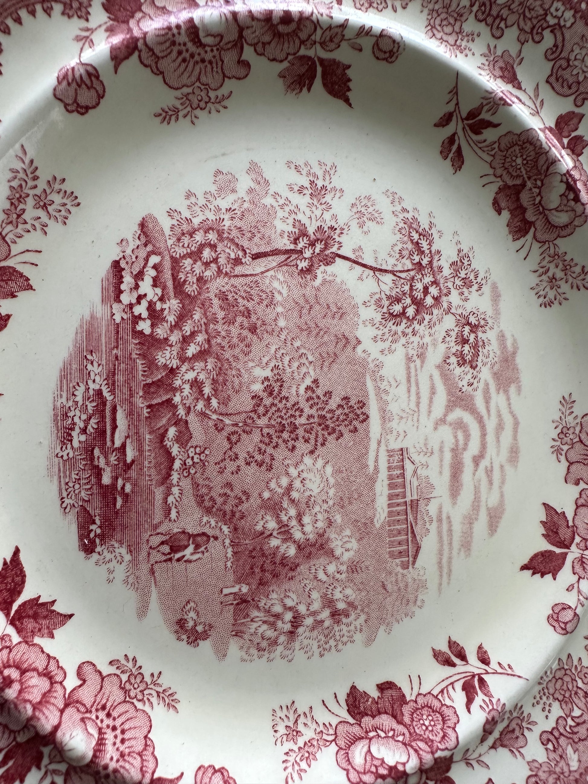 Set of 12 antique red and white transferware salad plates made by William Ridgway in 1830's - DharBazaar