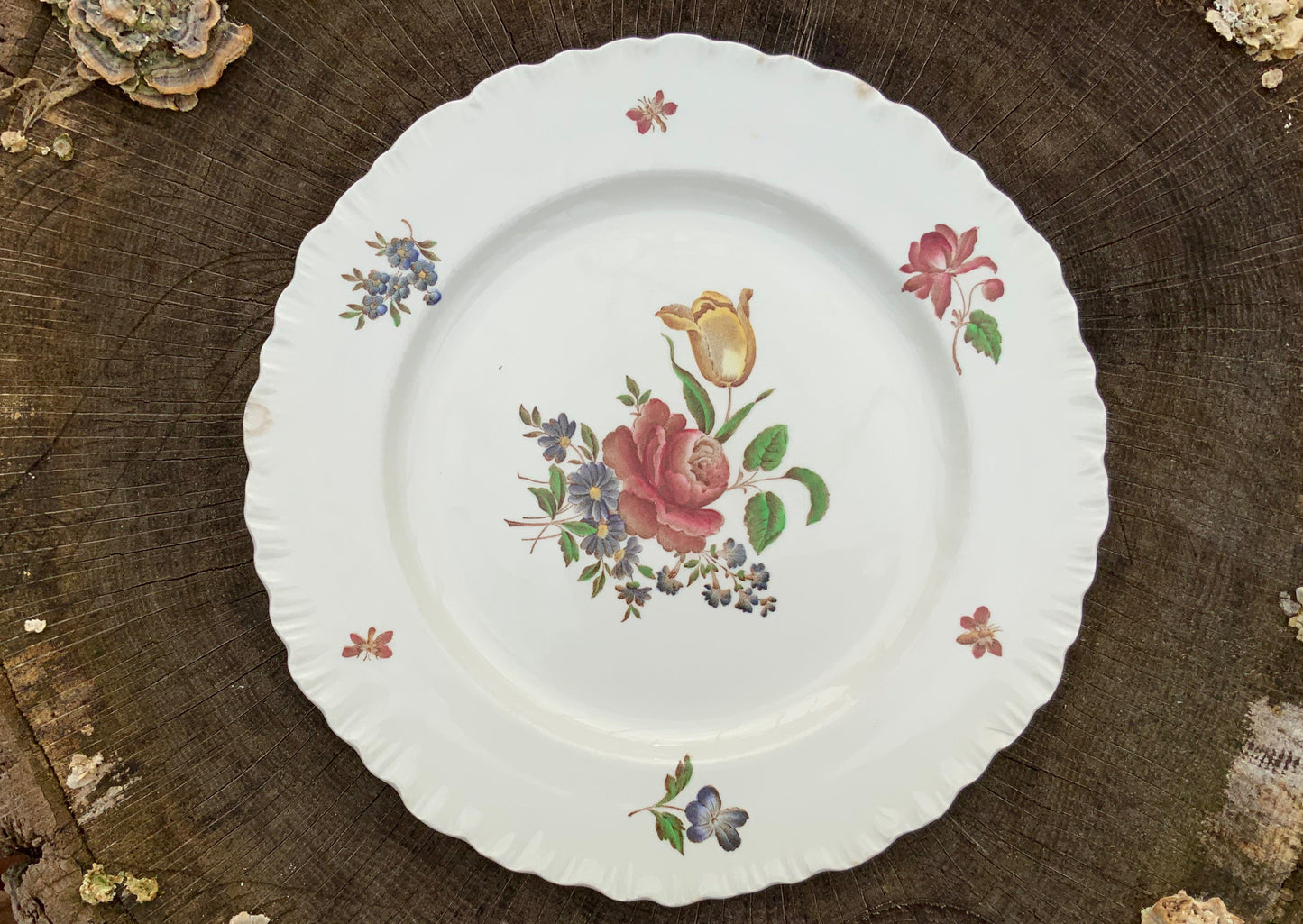 Vintage Barlaston Rose dinner plates from Wedgwood (sold as set of 6) #BarlastonRose #LoveWedgwood  #VintagePlates - DharBazaar