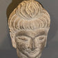 Gandharan Buddha Head - 3rd Century - DharBazaar