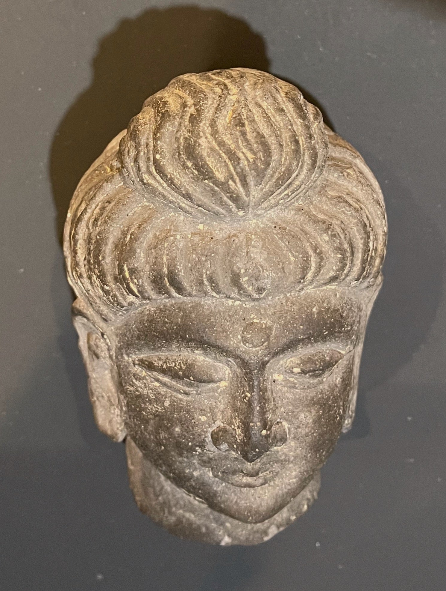 Gandharan Buddha Head - 3rd Century - DharBazaar