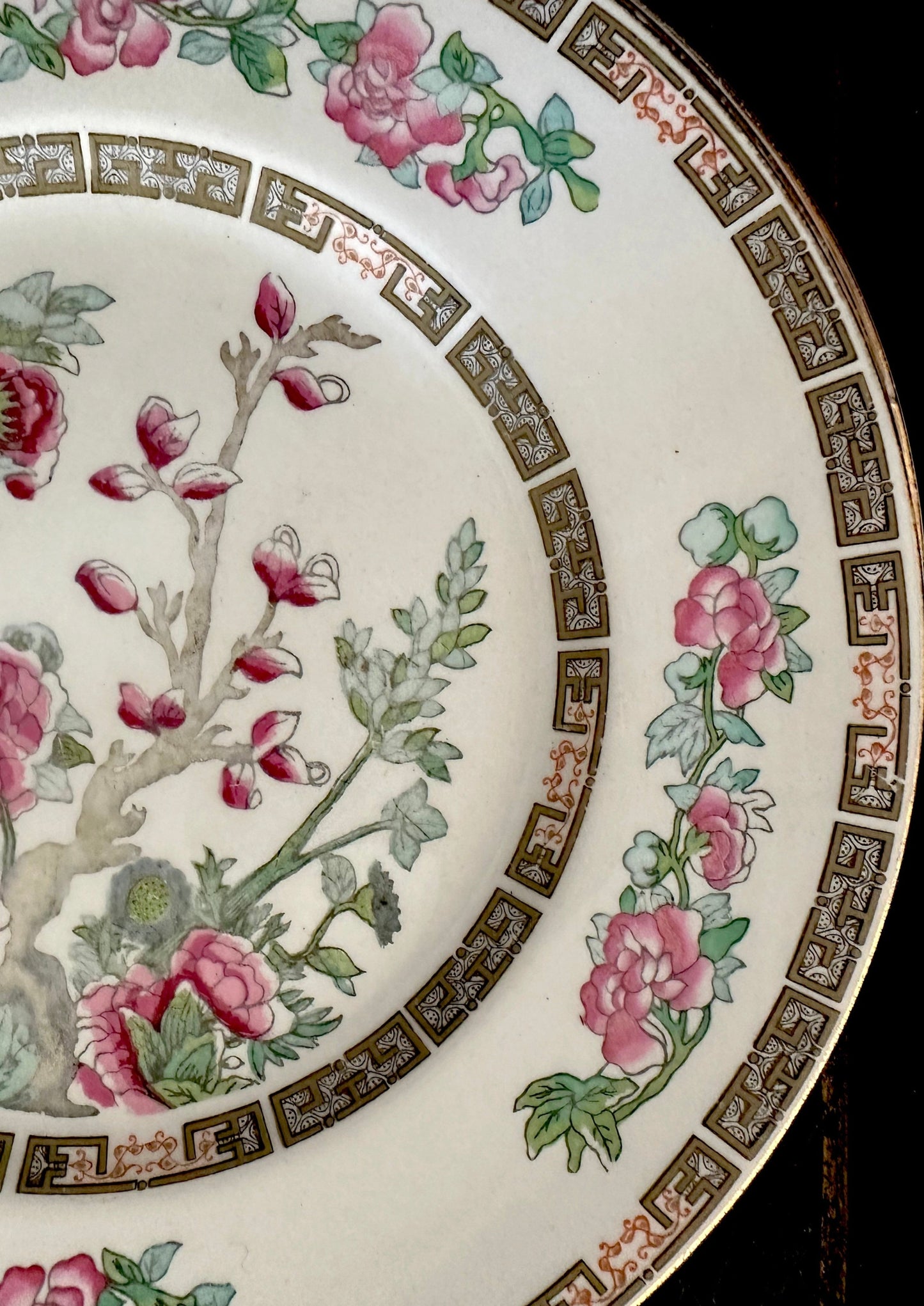 Salad Plates with Indian Tree design by John Maddock and Sons #IndianTree #JohnMaddock #GoldTrim - DharBazaar